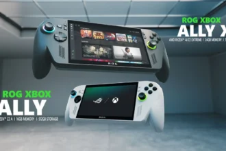 Xbox Ally rog